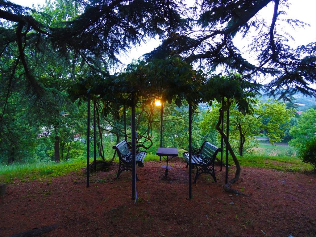 Bed and Breakfast La Celestina à Piana Crixia Extérieur photo